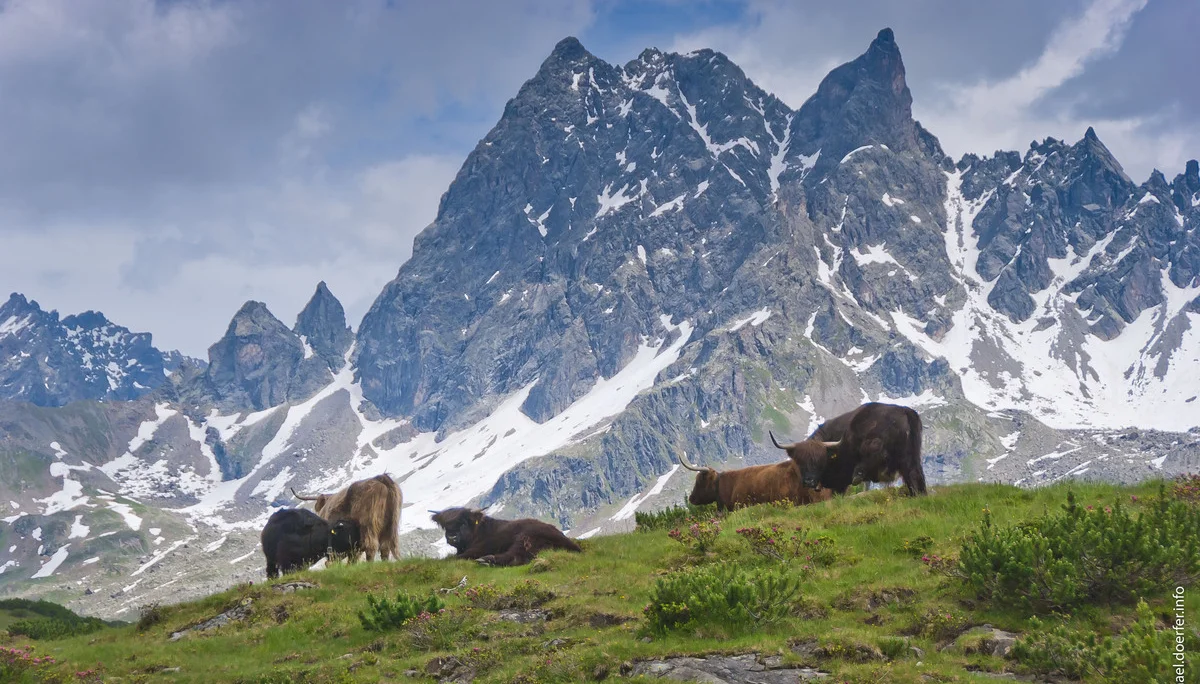 Konstanzer Hütte | © davkonstanz - Michael Dörfer