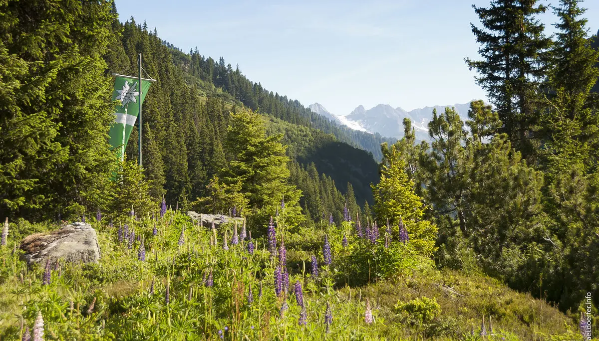 Konstanzer Hütte | © davkonstanz - Michael Dörfer