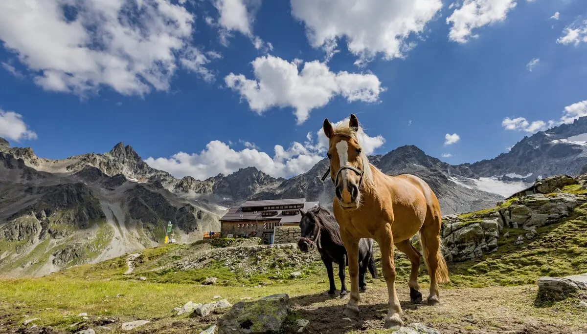Darmstädter Hütte | © A.Weiskopf