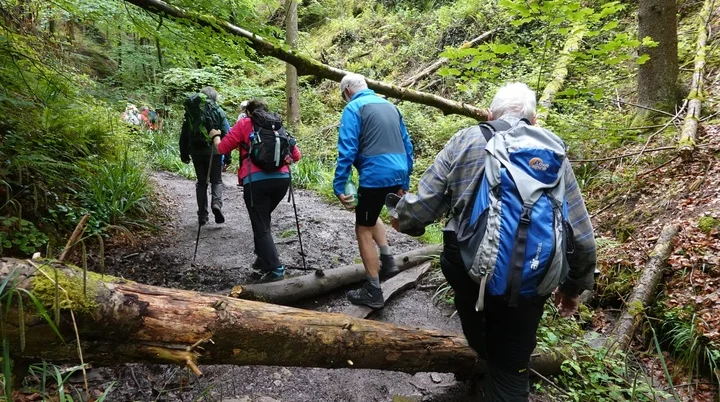 Auf Räuberwegen durch den Mainhardter Wald I Monatswanderung Mai I Bezirksgruppe Oehringen | © DAV Heilbronn