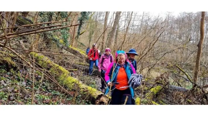 Wandertag in Lauffen / Frauenwandergruppe / DAV Heilbronn | © DAV Heilbronn