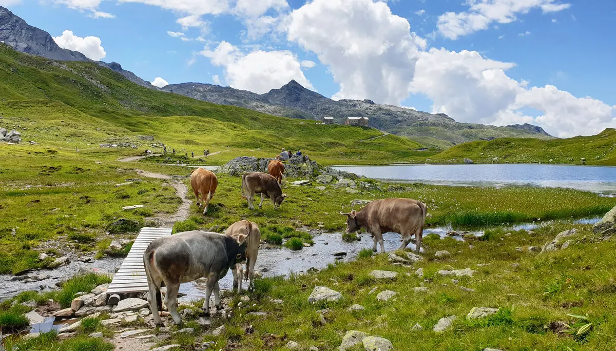 DAV Heilbronn Neue Heilbronner Hütte | © DAV Heilbronn