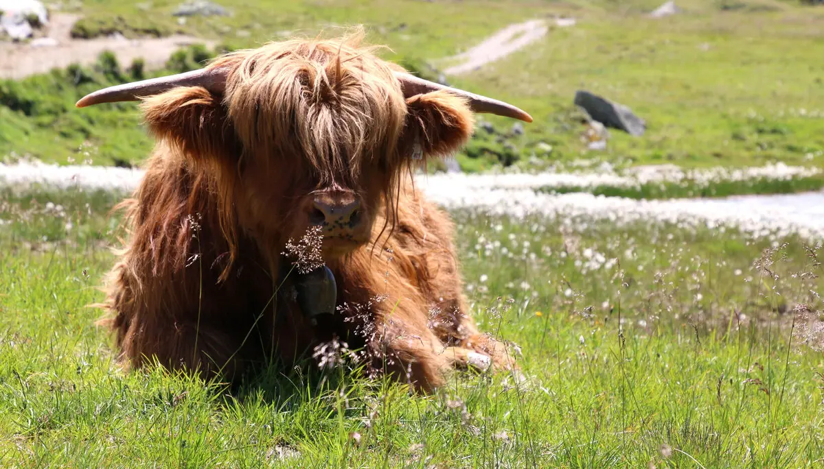 DAV Heilbronn Neue Heilbronner Hütte | © DAV Heilbronn